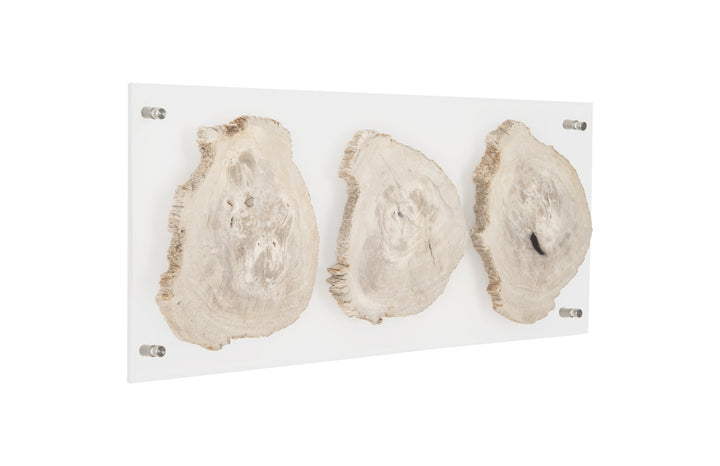 Floating Petrified Triple Slice Wall Art - Phillips Collection - AmericanHomeFurniture