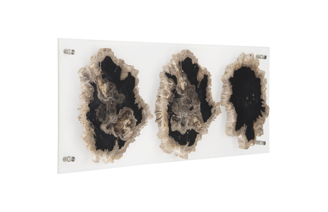 Floating Petrified Triple Slice Wall Art - Phillips Collection - AmericanHomeFurniture