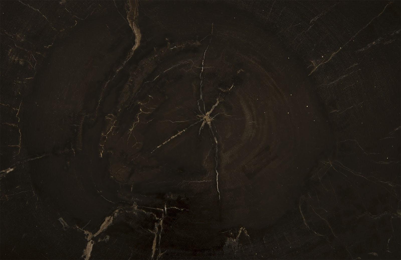 Phillips Collection Petrified Wood Coffee Table - Thumbnail 4