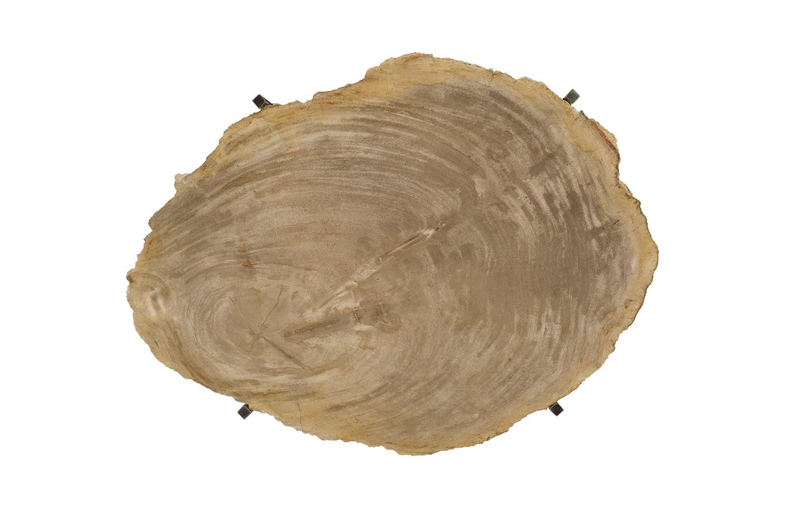 Phillips Collection Petrified Wood Tray, Stainless Steel Base, Assorted Styles and Sizes DECORATIVE TRAYS, PLATES, + BOWLS