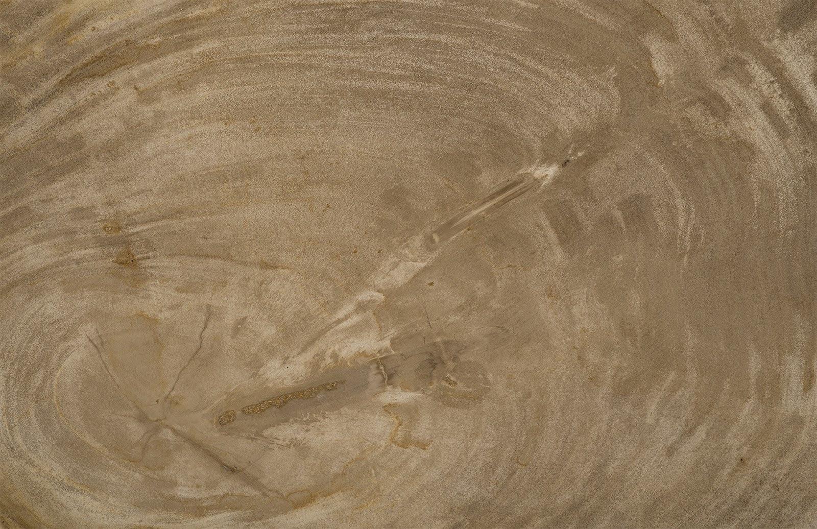 Phillips Collection Petrified Wood Tray, Stainless Stee - ID88055