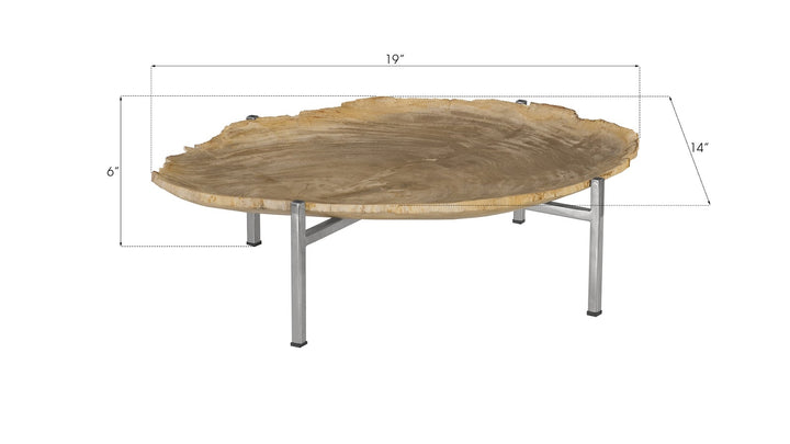 Petrified Wood Tray, Stainless Steel Base, Assorted Styles and Sizes - Phillips Collection - AmericanHomeFurniture
