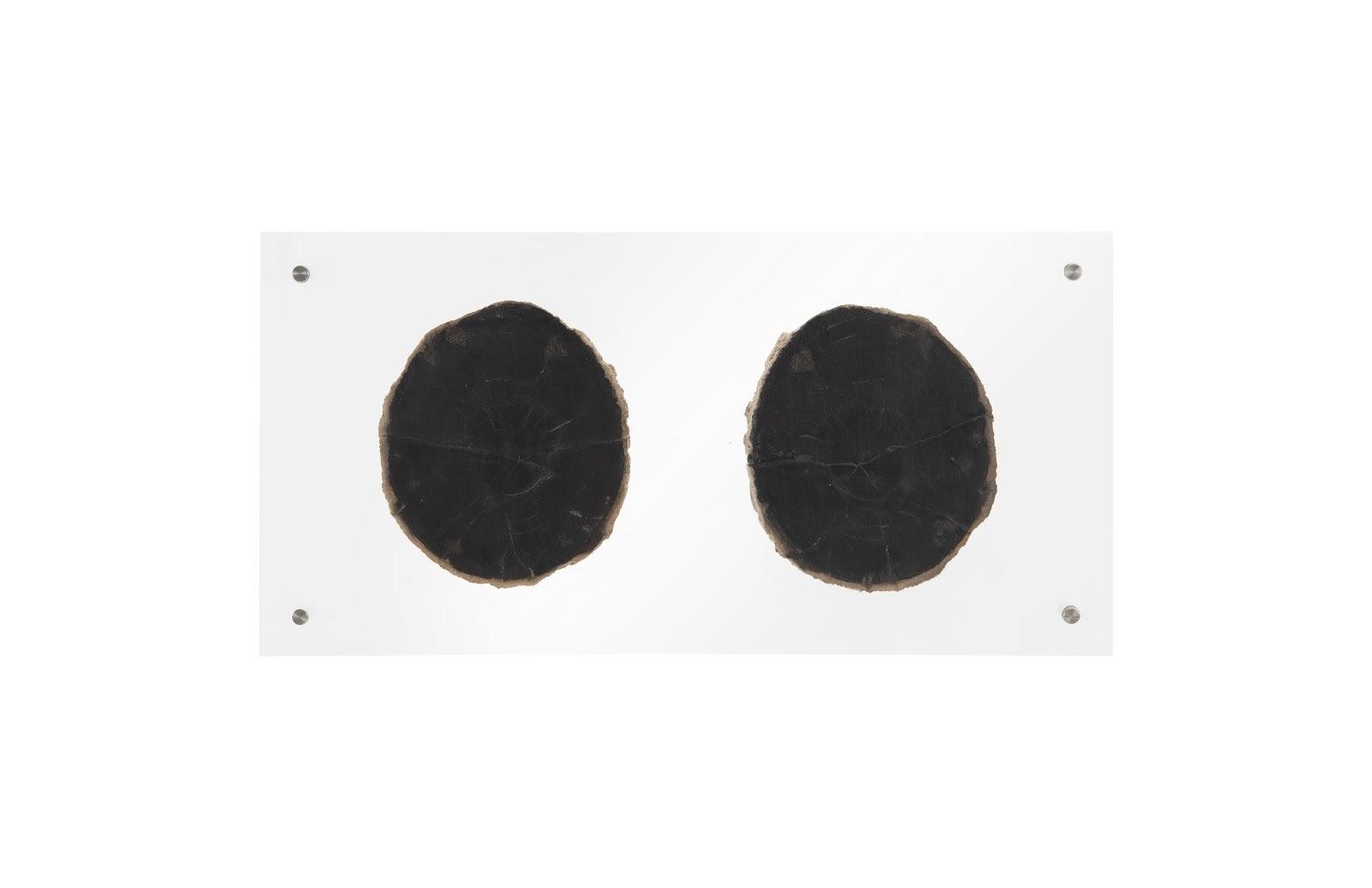 Phillips Collection Floating Petrified Double Slice Wall Art WALL ACCENTS