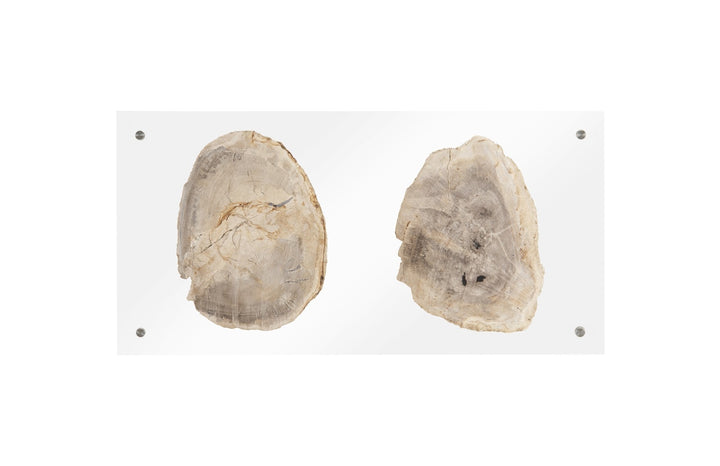 Floating Petrified Double Slice Wall Art - Phillips Collection - AmericanHomeFurniture
