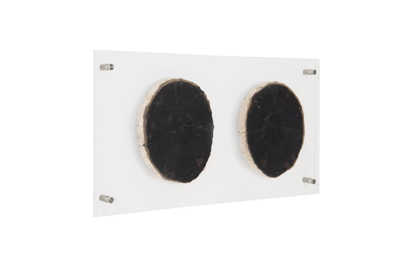 Floating Petrified Slice Wall Art - Thumbnail 2