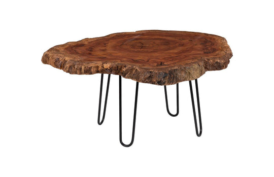 Phillips Collection Wood Coffee Table, Forged Legs COFFEE TABLES
