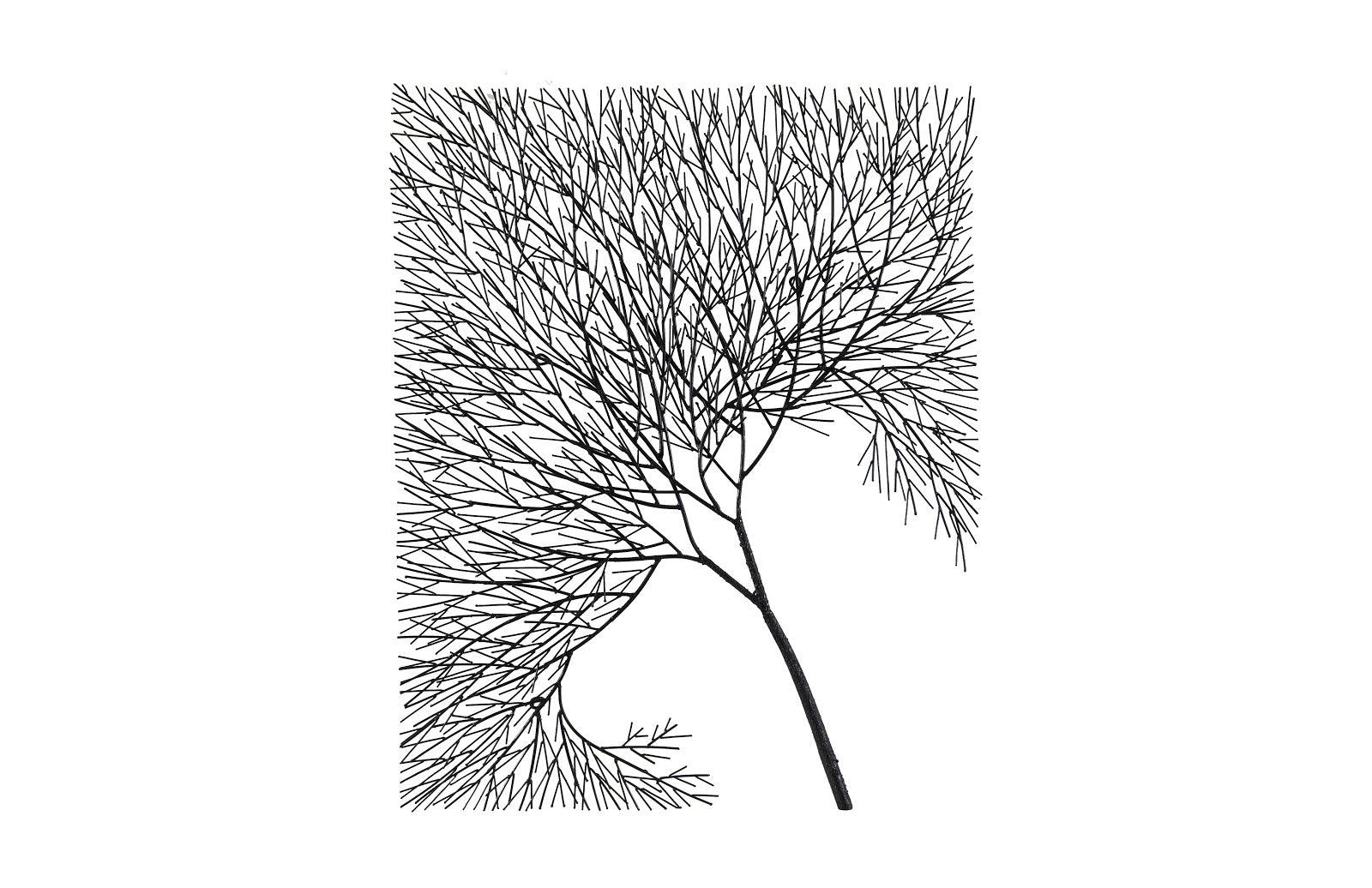 Phillips Collection Wire Tree Wall Art, Rectangular, Metal, Black WALL ACCENTS