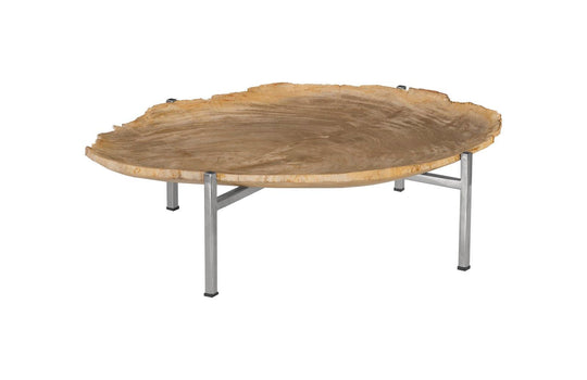 Phillips Collection Petrified Wood Tray, Stainless Steel Base, Assorted Styles and Sizes DECORATIVE TRAYS, PLATES, + BOWLS
