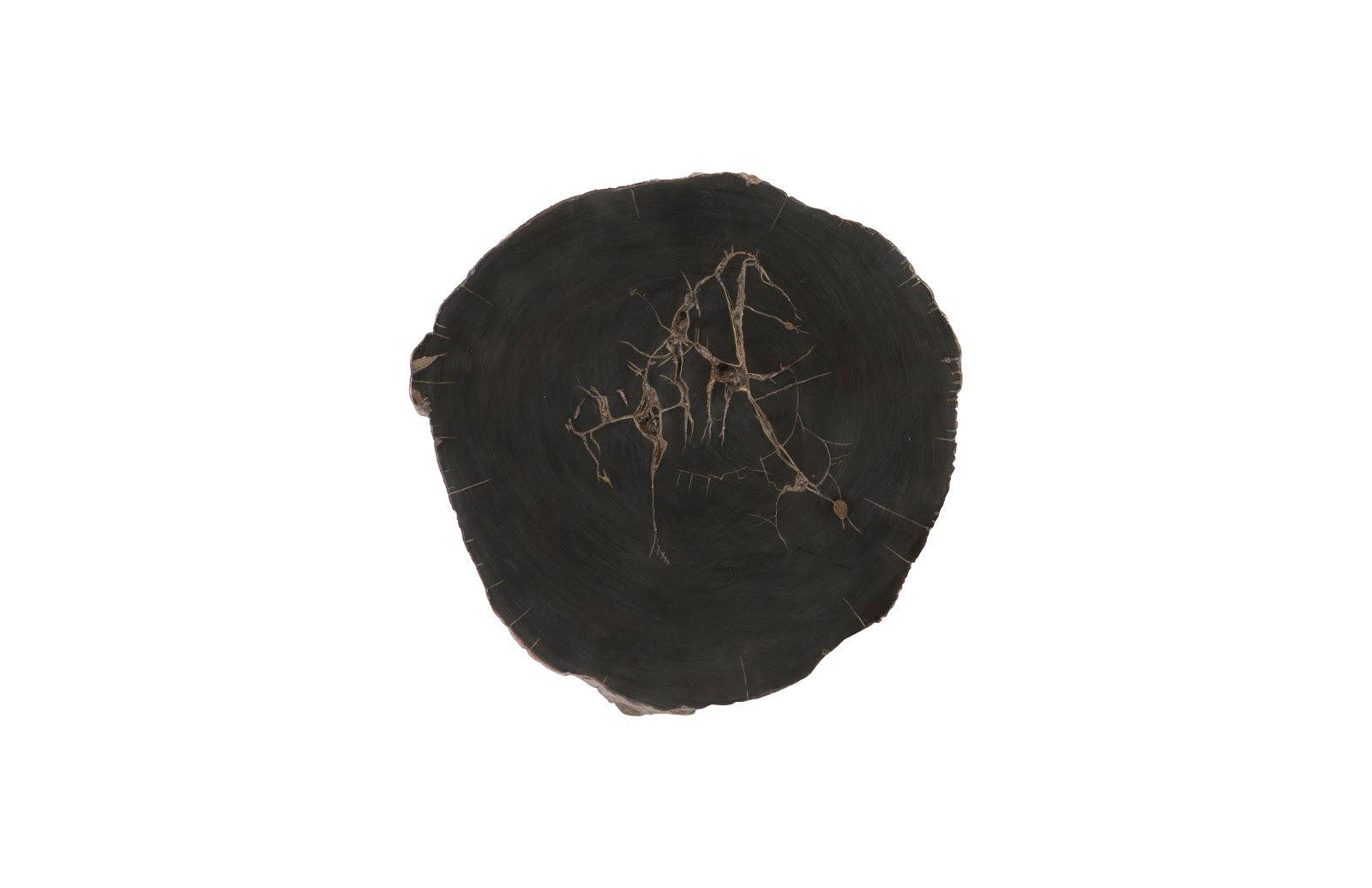 Phillips Collection Cast Petrified Wood Wall Tile, Resin WALL ACCENTS