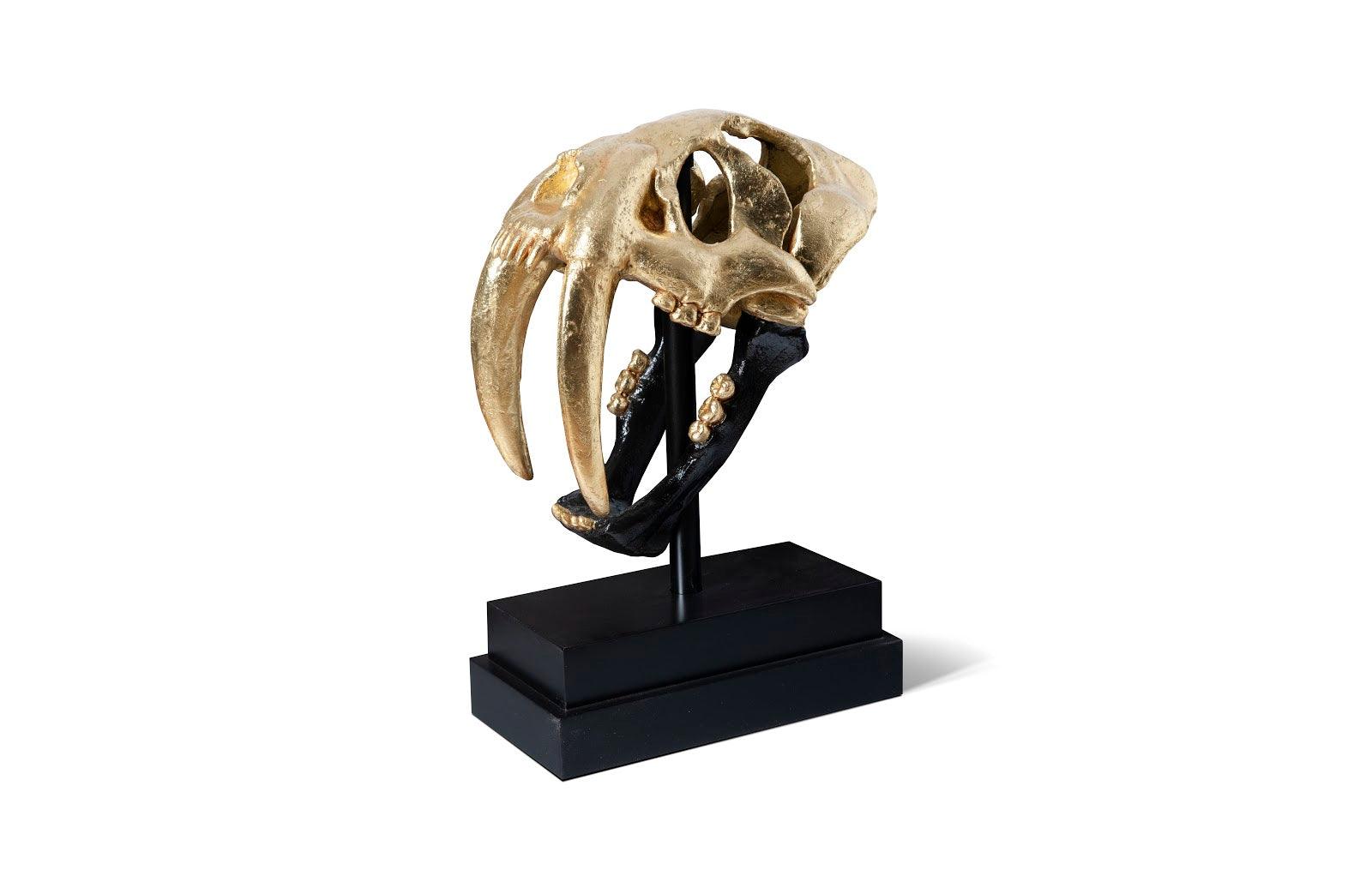 Phillips Collection Saber Tooth Tiger Skull, Black, Gold Leaf DECORATIVE OBJECTS