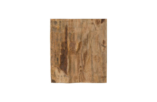 Phillips Collection Cast Petrified Wood Wall Tile, Resin, Square WALL ACCENTS