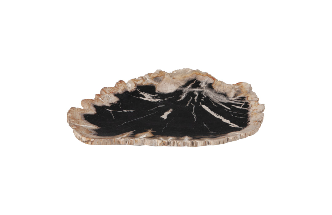 Petrified Wood Plate, Assorted Color and Shape, SM - Phillips Collection - AmericanHomeFurniture