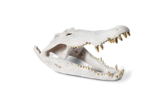 Phillips Collection Crocodile Skull, Roman Stone, Gold Leaf DECORATIVE OBJECTS