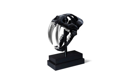 Phillips Collection Saber Tooth Tiger Skull, Black DECORATIVE OBJECTS