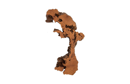 Phillips Collection Burled Root Wall Art, Medium, Faux Bois Finish WALL ACCENTS