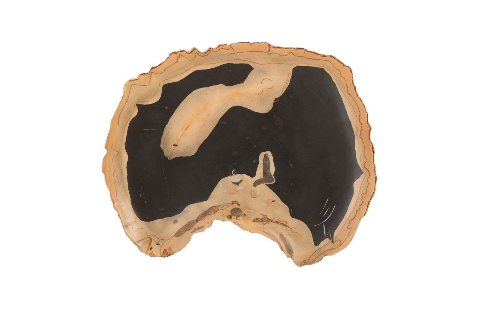 Phillips Collection Cast Petrified Wood Wall Tile, Resin, Thin WALL ACCENTS