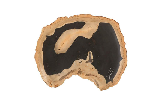 Phillips Collection Cast Petrified Wood Wall Tile, Resin, Thin WALL ACCENTS