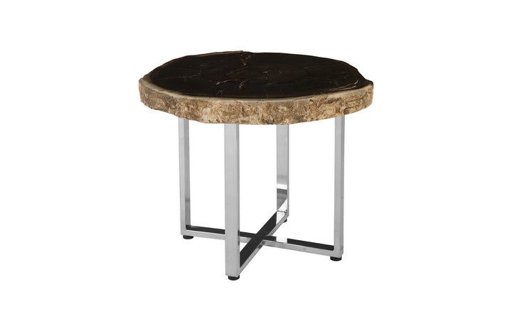 Petrified Wood Coffee Table, SS Legs, Assorted - Phillips Collection - AmericanHomeFurniture