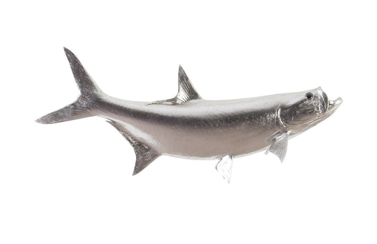 Phillips Collection Tarpon Fish Wall Sculpture, Resin, Silver Leaf WALL ACCENTS