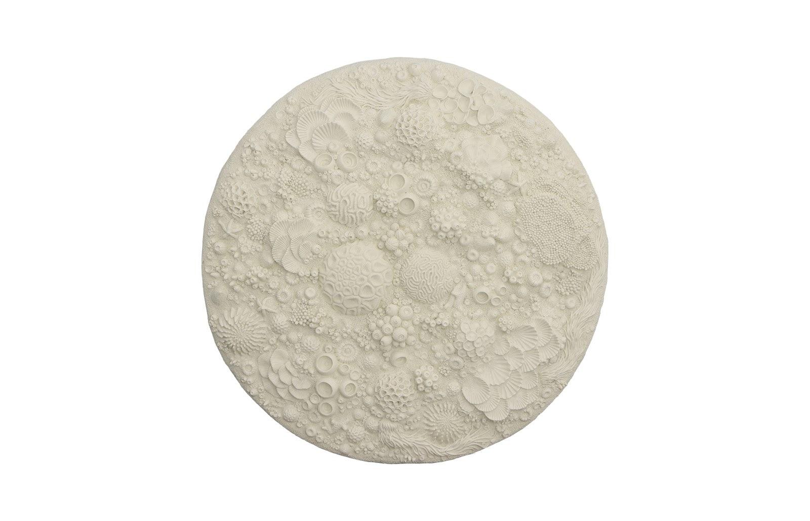 Phillips Collection Coral Reef Wall Art, Round WALL ACCENTS