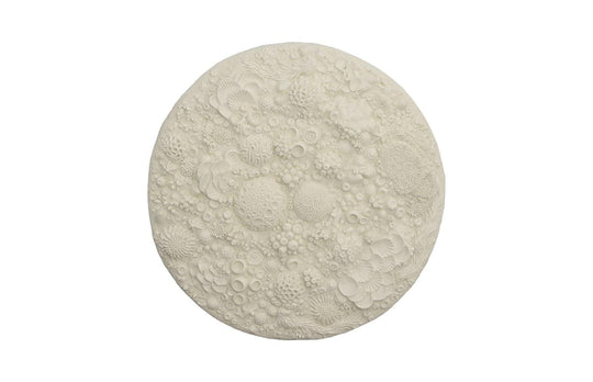 Phillips Collection Coral Reef Wall Art, Round WALL ACCENTS