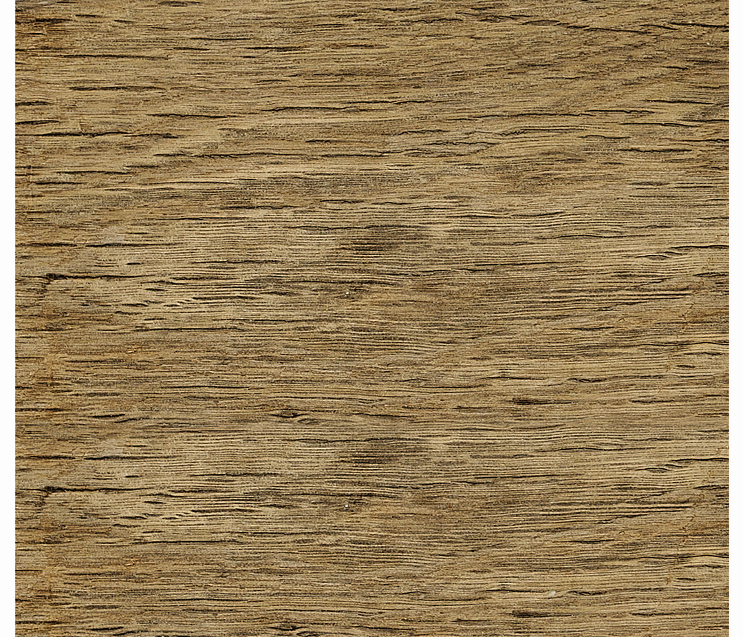 Stripped Brown Chestnut