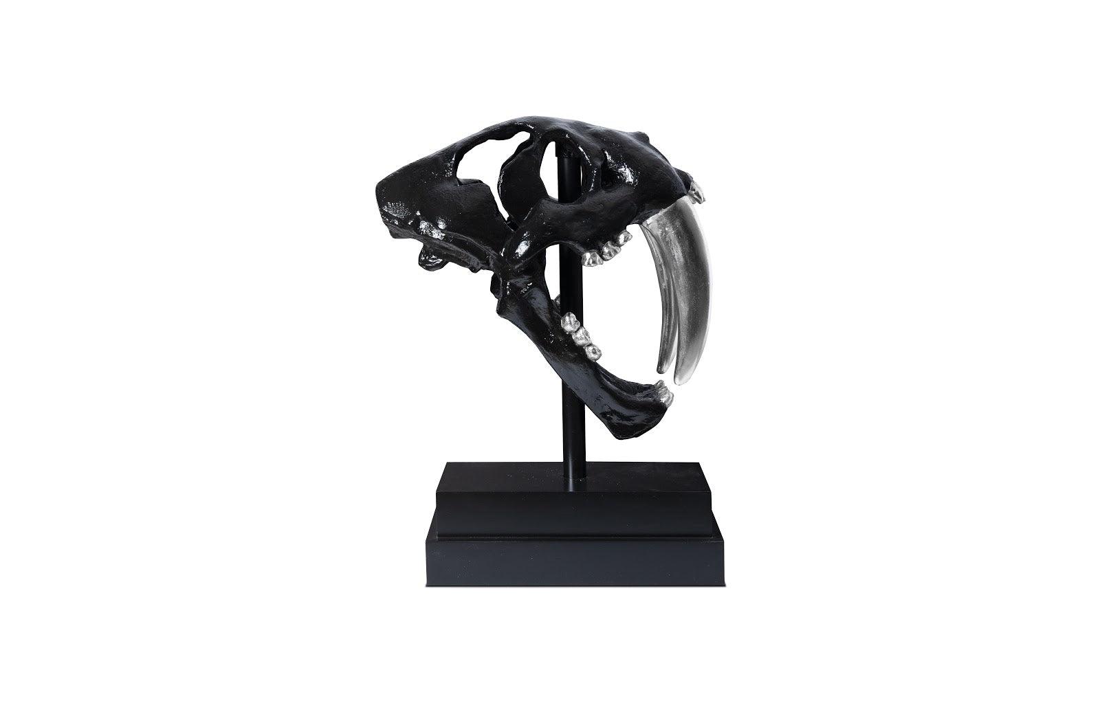 Phillips Collection Saber Tooth Tiger Skull, Black DECORATIVE OBJECTS