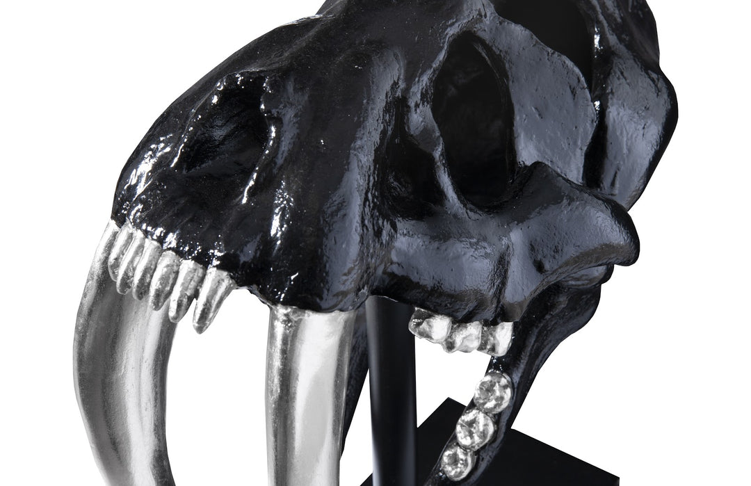 Saber Tooth Tiger Skull, Black - Phillips Collection - AmericanHomeFurniture