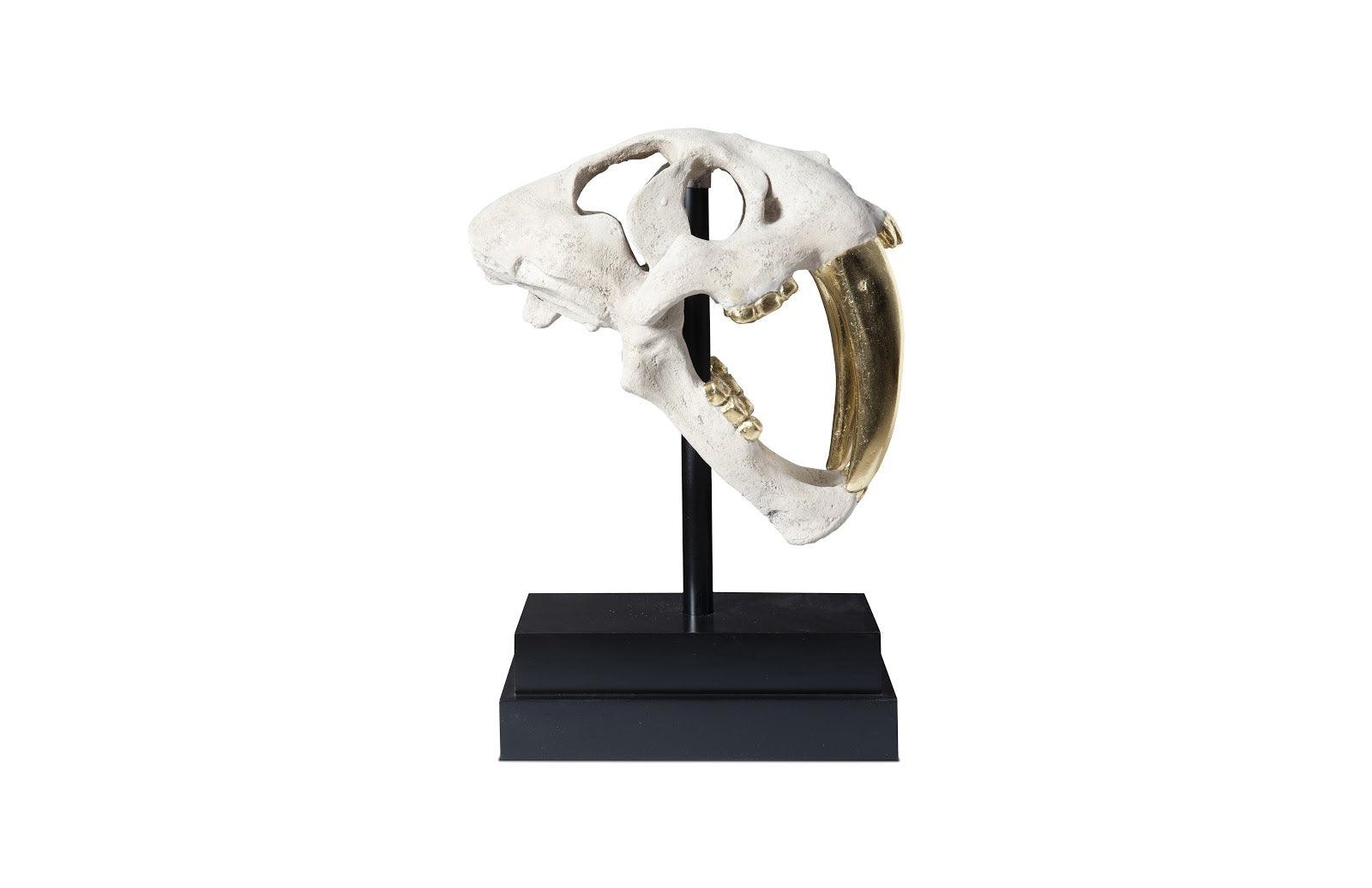Phillips Collection Saber Tooth Tiger Skull, Roman Stone DECORATIVE OBJECTS
