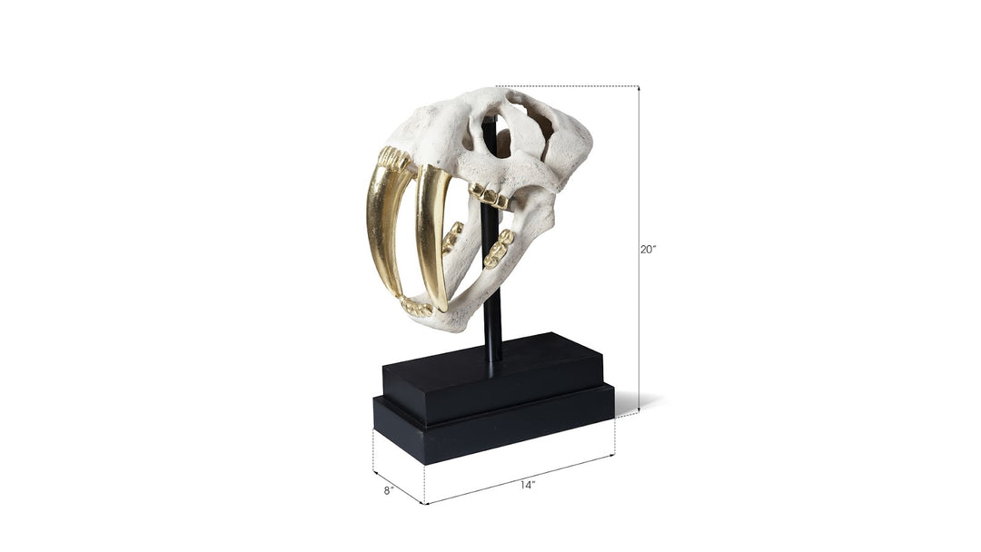 Saber Tooth Tiger Skull, Roman Stone - Phillips Collection - AmericanHomeFurniture