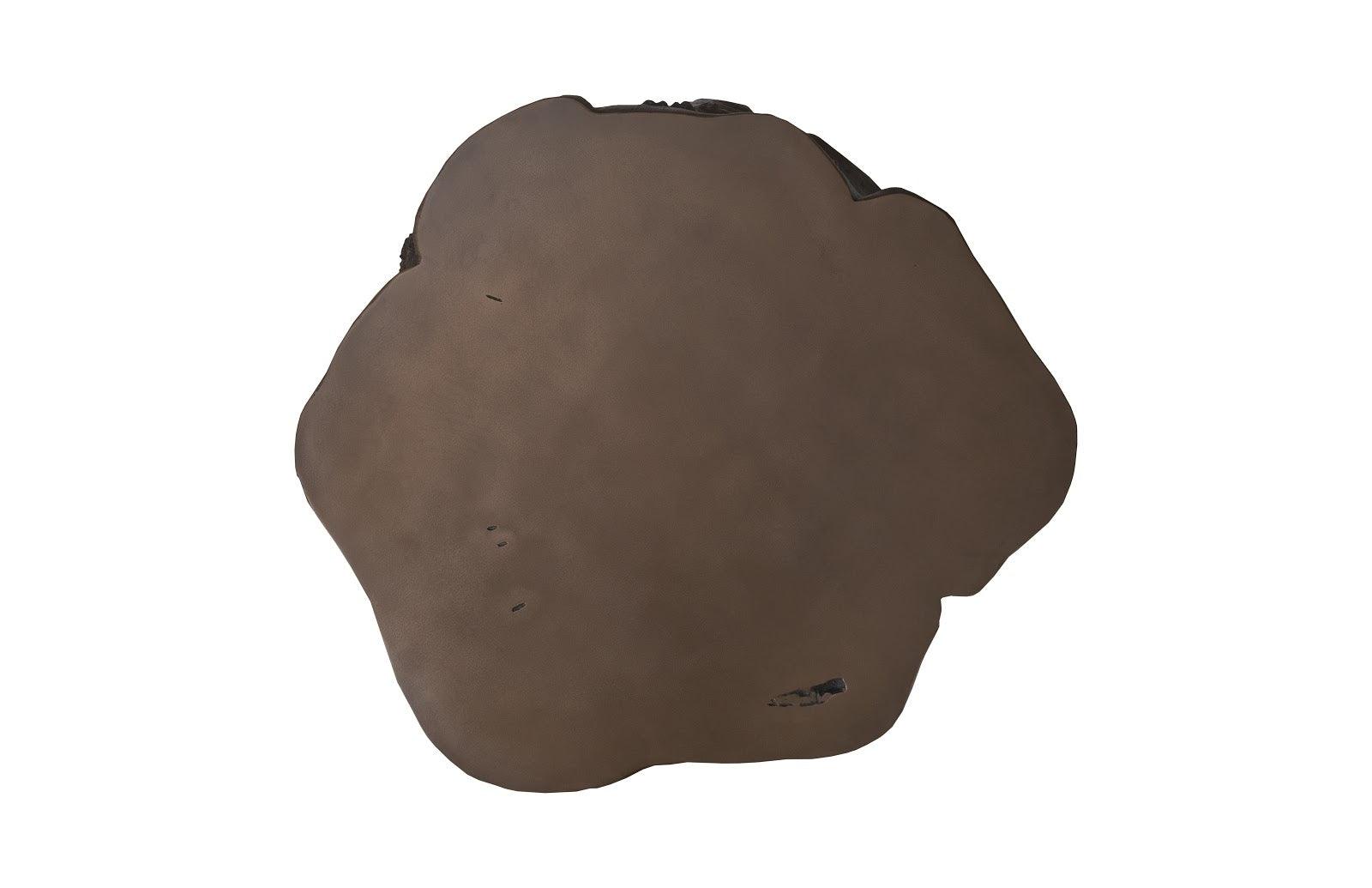 Phillips Collection Log Coffee Table, Bronze COFFEE TABLES