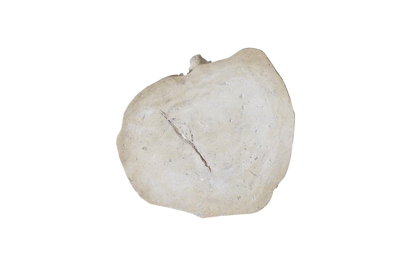 Phillips Collection Log Stool - Thumbnail 5