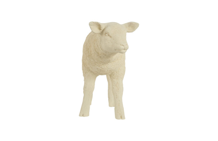 Texelaar Sheep, Lamb, Cream - Phillips Collection - AmericanHomeFurniture