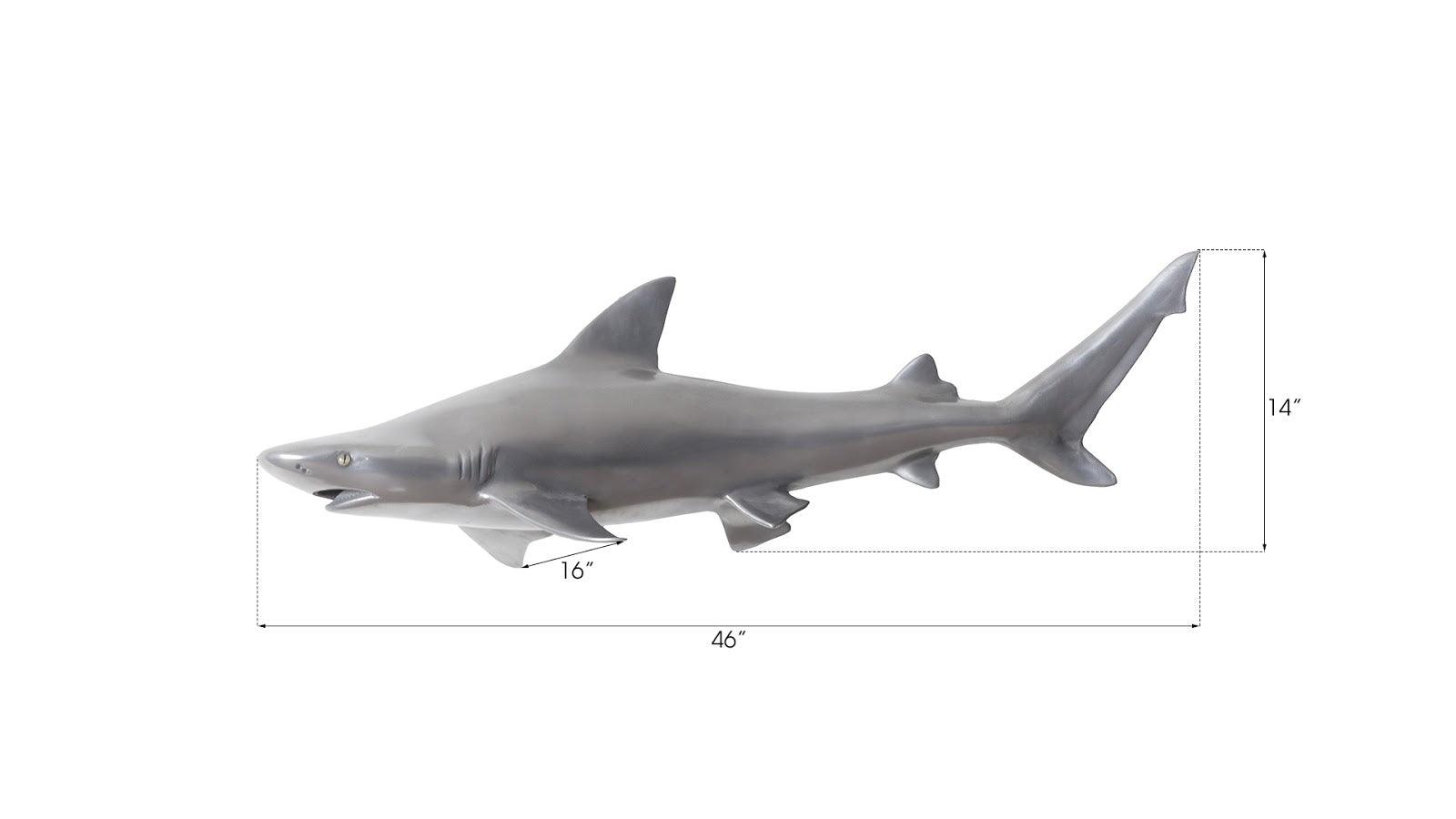 Phillips Collection Black Tip Reef Shark, Polished Aluminum WALL ACCENTS