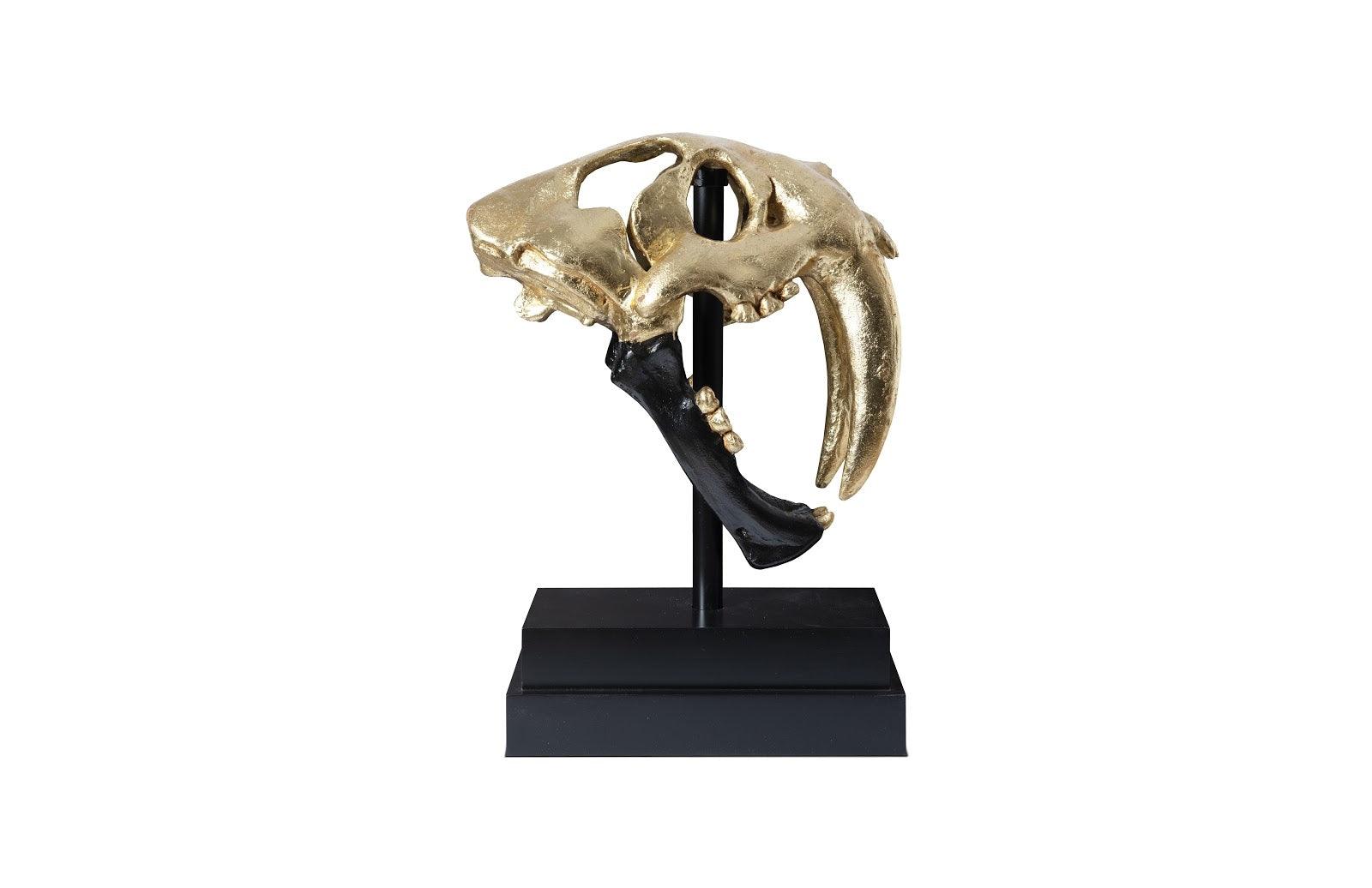 Phillips Collection Saber Tooth Tiger Skull, Black, Gold Leaf DECORATIVE OBJECTS