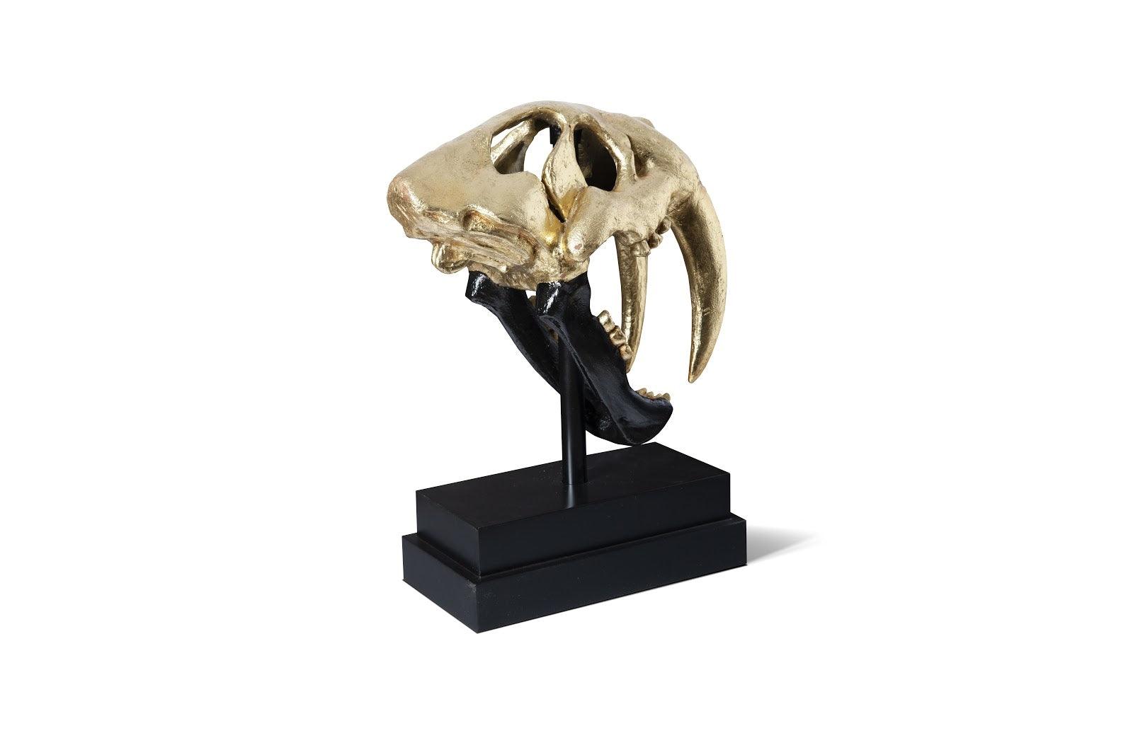 Saber Tooth Tiger Skull, Roman Stone - Thumbnail 3