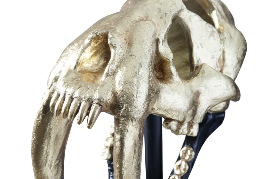 Saber Tooth Tiger Skull, Black, Gold Leaf - Phillips Collection - AmericanHomeFurniture