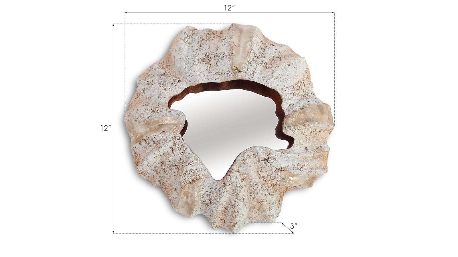 Barnacle Wall Art - Thumbnail 4