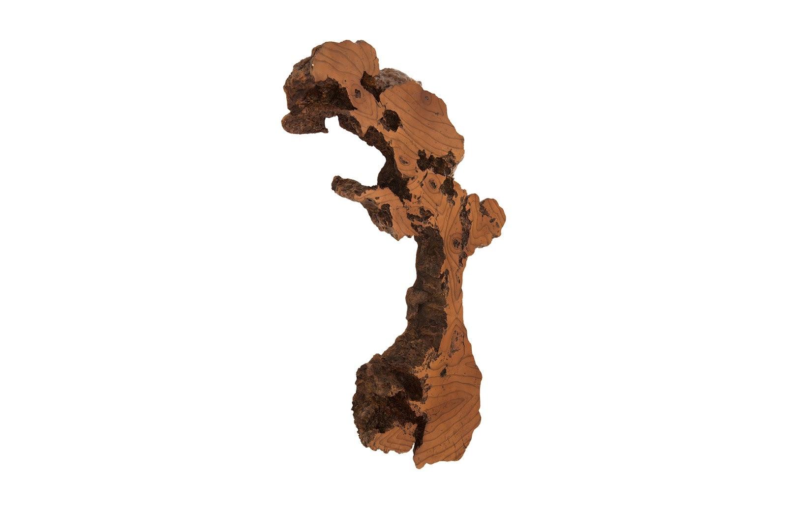 Phillips Collection Burled Root Wall Art, Medium, Faux Bois Finish WALL ACCENTS