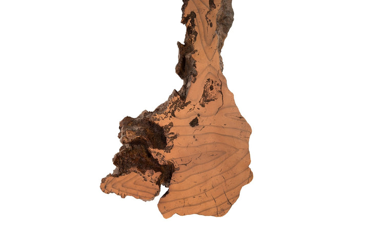 Burled Root Wall Art, Medium, Faux Bois Finish - Phillips Collection - AmericanHomeFurniture