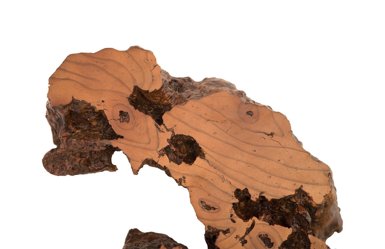 Burled Root Wall Art, Medium - Thumbnail 5