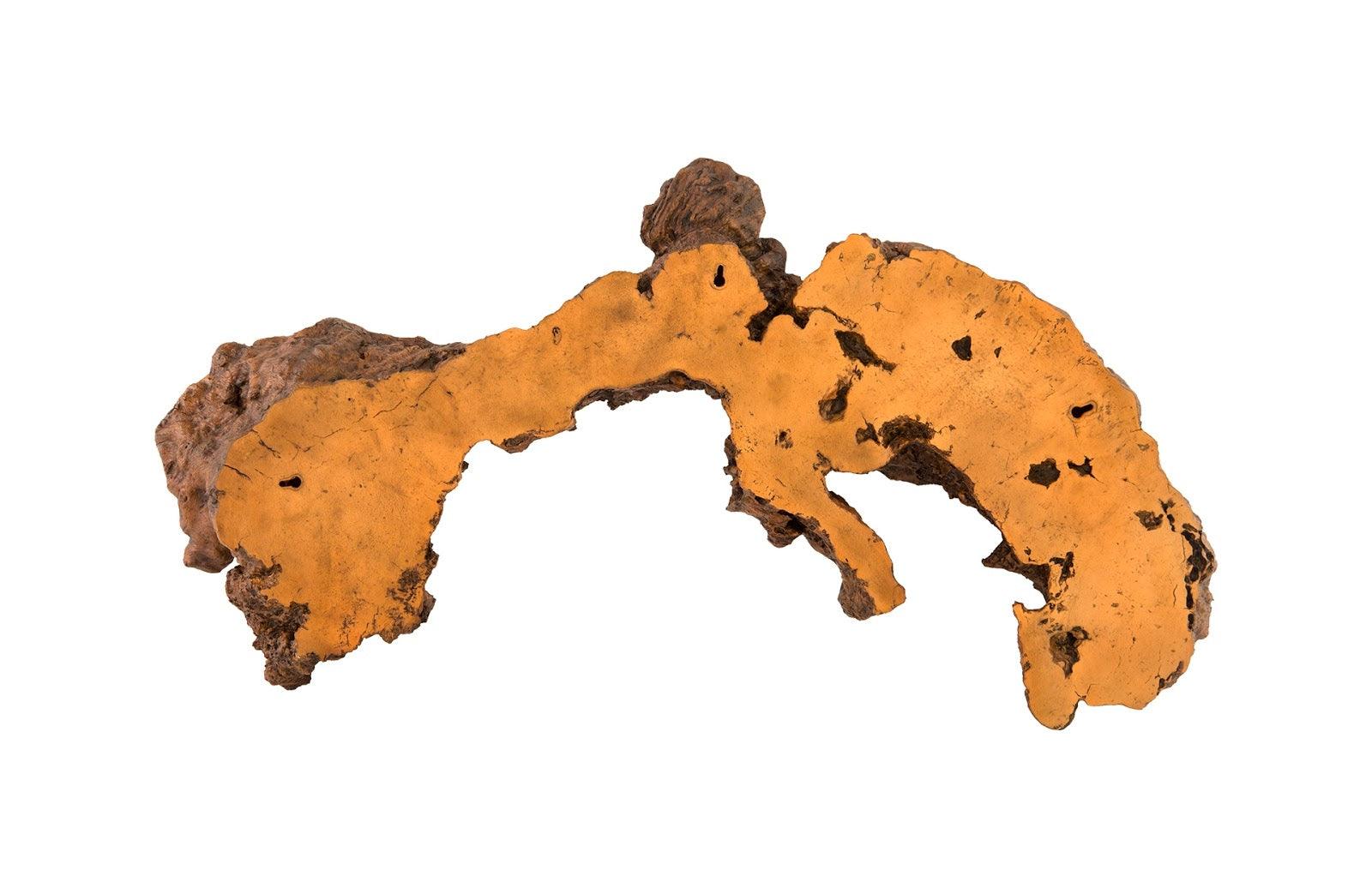 Burled Root Wall Art, Medium - Thumbnail 2