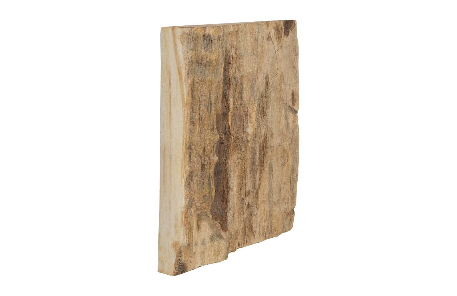 Phillips Collection Cast Petrified Wood Wall Tile, Resin, Square WALL ACCENTS