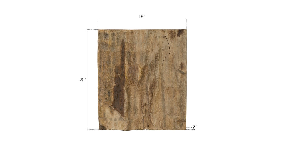 Cast Petrified Wood Wall Tile, Resin, Square - Phillips Collection - AmericanHomeFurniture