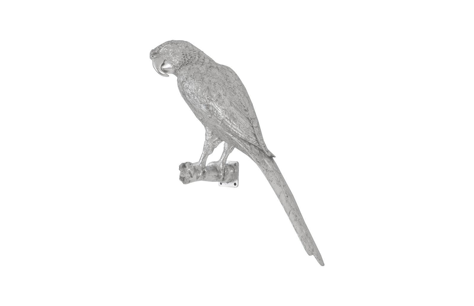 Parrot Looking Left Wall Art