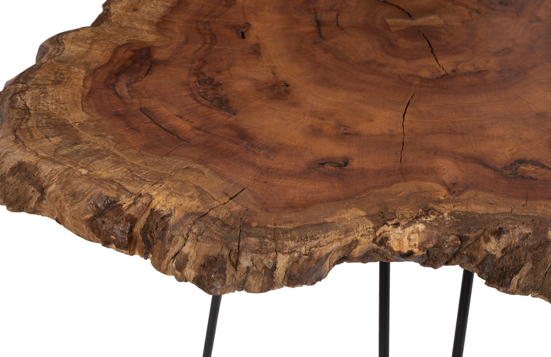 Wood Coffee Table, Forged Legs - Phillips Collection - AmericanHomeFurniture