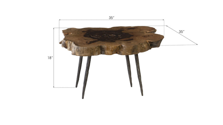 Wood Coffee Table, Forged Legs - Phillips Collection - AmericanHomeFurniture