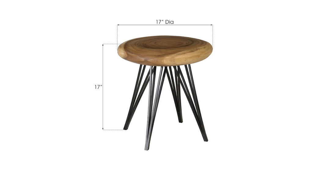 String Stool on Black Metal Legs, Chamcha Wood, Natural - Phillips Collection - AmericanHomeFurniture